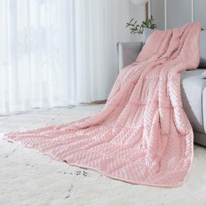 ALANSMA Reversible Weighted Blanket for All Season, Luxury Velvet, Warm and Cool, Adult 15Lb Weighted Blanket, Enjoy Sleeping Anywhere(Pink, 48''x72''15lbs)