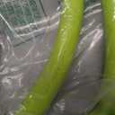 Flexzilla Garden Lead-in Hose 5/8 in. x 5 ft., Lightweight All-Weather Water Hose, Durable and Flexible, Leak-Free Connections (Chartreuse)