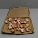 uxcell 24pcs Champagne Rose Boutonnieres Flower Buttonholes Pocket Boutonnieres Pins for Wedding Ceremony Anniversary Prom Formal Dinner Party