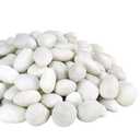 20lbs Natural River Rocks, 2-3 Inch Premium Pebbles for Landscaping, Hand-Picked Smooth Unpolished Stones for Garden Design, Fish Tank, Flower Pots, Pathways, Backyard and Outdoor Decor, White