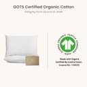 Bioweaves Organic Cotton Jersey Knit Waterproof Pillow Protector Covers with Zipper Closure GOTS Certified Soft & Quite Pillow Encasement Queen Size, 20 x 30 inches, Set of 2