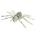 Needzo Halloween Skeleton Spider Decoration, Creepy Haunted House Prop, Party Tabletop Decor, 10 Inches,Set Of 4