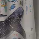 decalmile Under The Sea Fish Wall Decals Ocean Animal Sea Turtle Seaweed Whale Wall Stickers Bathroom Baby Nursery Bedroom Living Room Wall Decor