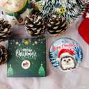2 x Hedgehog Christmas Ornament – Cute Woodland Animal Holiday Decor – Gift for Hedgehog Lovers, Family, Friends, Animal Fans