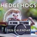 Hedgehog Calendar 2026 Monthly Wall Calender 12 Month | American Made In The USA