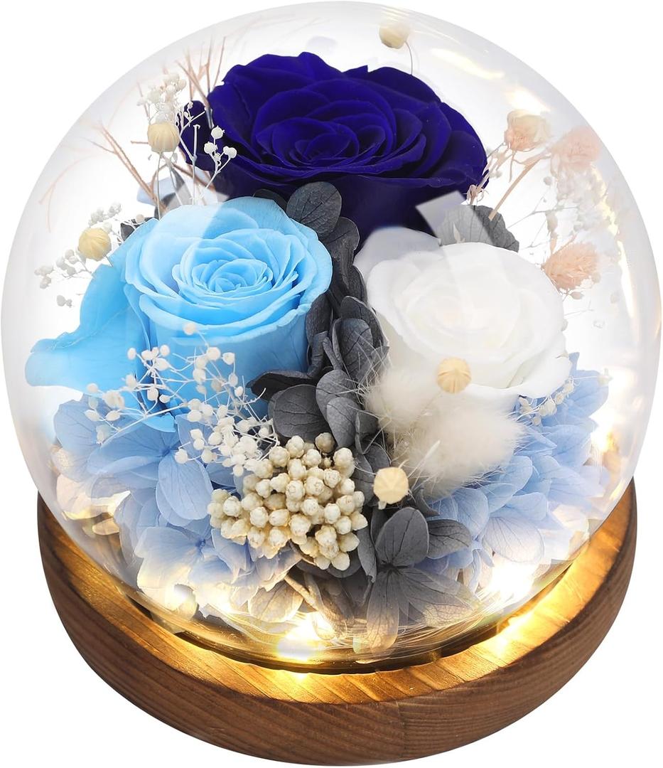 Preserved Flowers,Rose in Glass Dome with LED Light, Gifts for Her, Women, Mom,Grandma,Girlfriend, Wife - Style5 (Blue & White (S5))