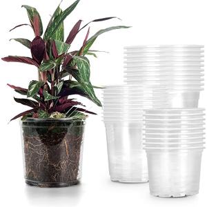 RAOOKIF 30 Pack 5/6/7 Inch Reinforced Clear Nursery Pots with Drainage Holes, Nursery Pots for Plants Variety Pack, Transparent Plastic Plant Pots for Seedlings, Seed Starters
