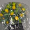 10" Potted Artificial Plants Lemon Table Centerpieces Decoration