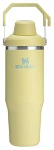 Stanley IceFlow 2.0 Fast Flow Tumbler with Handle 30 oz | Twist On Angled Spout Lid | Leakproof Water Bottle | Insulated Stainless Steel | BPAFree | Pomelo
