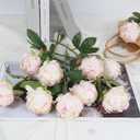 10pcs Peonies Artificial Flowers Fake Silk Peonies with Single Stem Faux Peonies Flowers for Wedding Table Centerpieces Home Decorations Bridal Bouquets Floral Arrangements (Champagne)