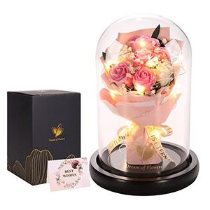 Valentines Day Gifts for Her,Valentines Flower Gifts for Women,Rose in Glass Dome with 2 Light Modes,Light Up Rose Flowers,Valentines Anniversary Birthday Gifts for Women, Mom, Wife, Girlfriend