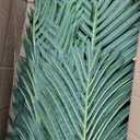 Erimda 8.2FT Artificial Phoenix Palm Tree Artificial Plants Indoor Outdoor Large Faux Coconut Silk Palm Tree Tropical Fake Tree Faux Sago Palm Plant for Modern Farmhouse Yard Outside Patio Poolside