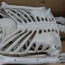 breesky Life Size Skeleton for Halloween: 4.43ft Realistic Human Anatomy Full Body Skeleton Model with 360° Posable Movable Arms - Skeletons for Outdoor Yard Haunted House Atmosphere Decoration