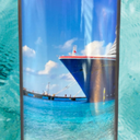 Carnival Cruise Line Photo Tumbler Travel Cup (Pack of 1, 20 Oz)