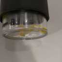 Umbra Penguin Pump, Kitchen Soap Dispenser,12 oz (355 ml), Black