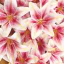 SNAIL GARDEN 24PCS 5.5" Large Fake Lilies Flower Heads with Realistic Stamens,24PCS Pink Artificial Flower Heads, Bulk Silk Flowers for Crafts, Cake Decorating, Wedding Party Wreath, Home Decor