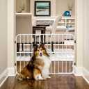 Carlson Pet Products Tuffy Expandable Dog Gate with Pet Door 33 x 24 
