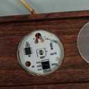 Chicvillage Snail in Ocean Lamp  Handmade Scuba Ocean Lamps for Bedrooms Ideal Housewarming Gifts New Home, Unique Christmas Gifts for Men and Women  Wooden Base and Variable Lights