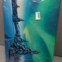 SKASNFAI Aurora Landscape Canvas Wall Art Natural Framed for Office, 16"L x 24"W