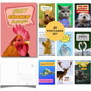 Imperial Designs 40 Pack Funny Punny POSTCARDS (4"x6") - Say I Miss You, Hello, Thank You, Thinking of You with a Fun Animal Pun by Mail - Bulk Postcards for Parents, Grandparents, Summer Camp