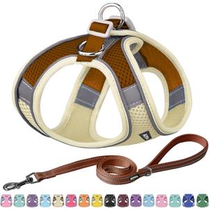 AIITLE No Pull Dog Harness and Leash Set, Step in Adjustable Dog Harness with Padded Vest for All Weather, Dog Leash with Soft Padded Handle, Easy to Put on Small and Medium Dogs Beige S (S(Chest: 13.5 - 16"))