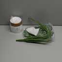 Guheake 26" Fake Plants Large, Tropical Palm Tree Artificial Monstera Faux Plant Tree with Pot for Home Office Living Room Decor Indoor