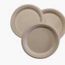 Freshware Paper Plates - Disposable 9" Plate, 125-Pack Biodegradable Sugarcane Fiber Dinner Plates - Heavy Duty Dinnerware for Hot Food - Microwave & Freezer Safe, Stackable Dinnerware (Natural)