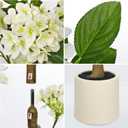 4FT White Hydrangea Artificial Flowers Tree Large Real Touch Faux Silk Hydrangea Plants Potted Fake Flower in White Pot for Home Indoor Outdoor Front Porch Garden Entrance Living Room Decor, 2 Pack