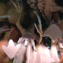 Dinosaur Toys for Kids 3-5,45PCS Realistic Jurassic Dinosaurs Figures with Eggs&Trees&Fence Playset to Create a Dino World,Educational Figures, Great Gift for Toddler Boys & Girls