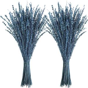 Uieke Dried Lavender Flowers, 16" Preserved Dried Lavender Bundles Blue Flowers Stems Bouquet for Shower Weeding Home Fragrance Vase Crafts Decor, 100g(3.52oz)