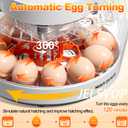 Upgraded Egg Incubators for Hatching Eggs, 12 Egg Incubator with Automatic Egg Turning, Temperature Control & Humidity Display, LED Candler, Incubator for Chicken, Duck, Quail Eggs (Orange)