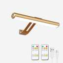 Rechargeable Picture Light, Cordless Picture Light for Paintings with 2 Remotes, Metal Picture Frame Light with 16 LEDs Head, 3Modes, 300LM Dartboard Light with Timer for Display, Art-Gold