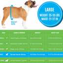 Bodhi Dog Disposable Male Dog Diapers - Super Absorbent, Leak-Proof Pee Wraps - Adjustable Fit, Comfortable Design, Advanced Moisture Control, and Wetness Indicator - Large (20 Count)