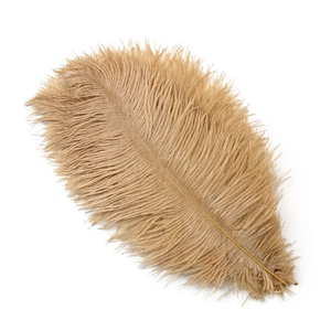 Fluffy Big Ostrich Feathers Natural Ostrich Feather Plumes 15-35CM for Wedding Table Centerpieces Carnaval Party Decoration, 6pcs Ostrich Feathers 10"