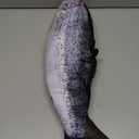 24 Inch Simulation Fish Plush Toy Pillow Soft Fish Cushion Pillow Stuffed Animal Toy for Cat Pets or Kids Birthday Gifts