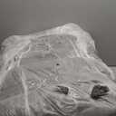 OLANLY 8x10 Machine Washable Large Area Rugs for Living Room, Bedroom, Soft Fluffy Shaggy Bedside Rug, Indoor Floor Carpet for Kids Girls and Boys, Dorms, Nursery, Home Decor Aesthetic, Grey