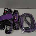 tobeDRI No Pull Dog Harness Adjustable Reflective Oxford Easy Control Medium Large Harness with A Free Heavy Duty 5ft Leash (L (Neck: 18"-25.5", Chest: 24.5"-33"), Purple)