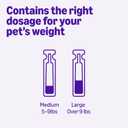 Amazon Basics Topical Flea Treatment for Large Cats (Over 9 pounds), 6 Count, Packaging May Vary