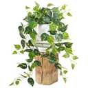 Waipfaru Fake Plants Artificial Plants Indoor, 1Pcs 34" Realistic Artificial Hanging Fake Pothos Vines Ivy Potted, Faux Pothos for Living Room Office Bedroom Bathroom Kitchen Shelves Indoor Home Decor