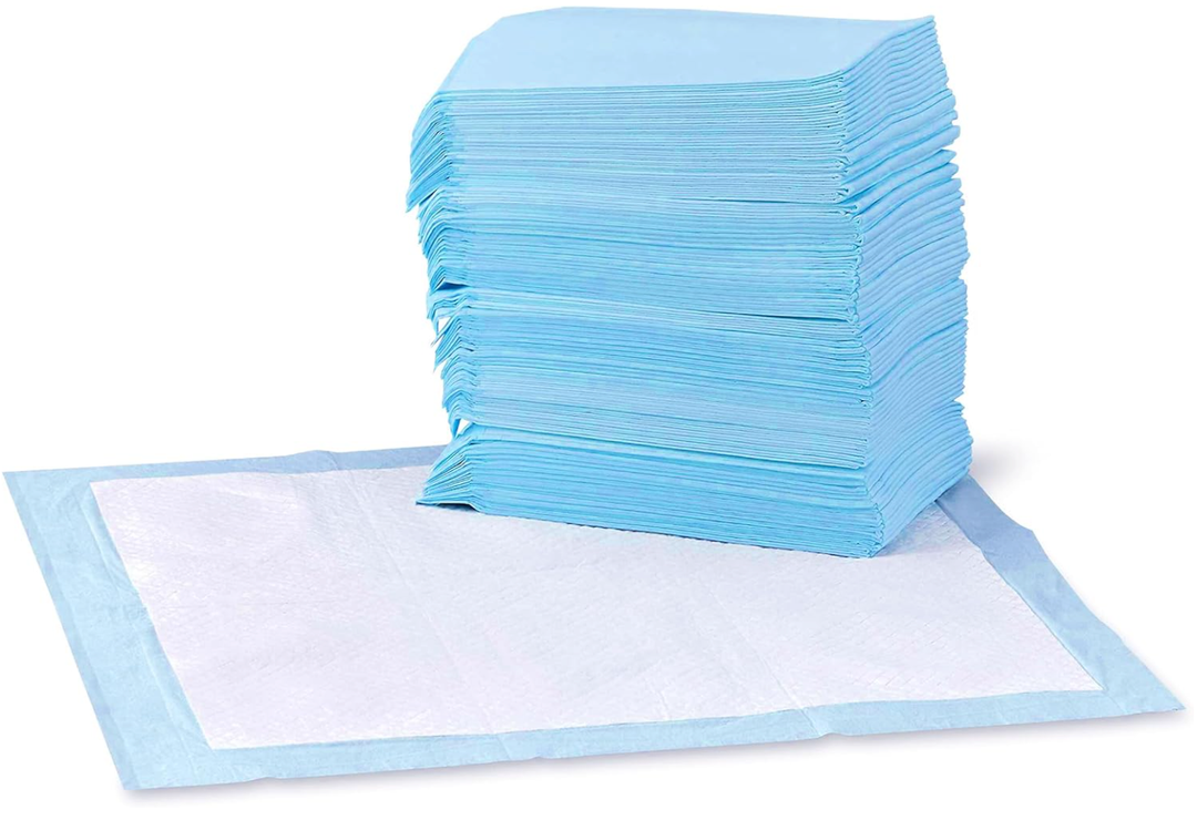 Basics LeakProof Dog and Puppy Potty Training Pee Pads with QuickDry 5Layer Super Absorbent Design, Regular Size 22 x 22 inch, Blue & White, 100 Count