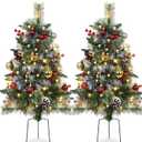 Set of 2 Outdoor Pathway Christmas Trees with Lights, Frosted Twinkle Small Easy Christmas Tree for Driveway, Entrance, Urn & Pot Filler, Front Porch, Yard, Garden Outside Holiday Decoration (Frosted With Red & Gold Berries)