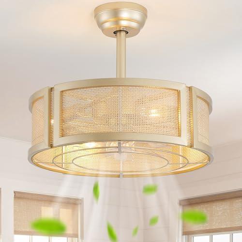 Phrylix 20" Boho Ceiling Fans with Lights, Rattan Flush Mount Ceiling Fan with Light Remote Control with Caged 6 Speeds for Bedroom, Nursery, Living Room (Gold)