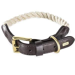 Embark Pets Country Dog Rope Collar - Braided Cotton and Rolled Leather Dog Collar for Small Dogs - Durable Dog Collars for Small Dogs and Strong Build for Training, Walking, Running (Small, White) (Bordeaux Red)