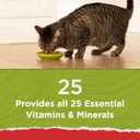Purina Cat Chow Naturals With Added Vitamins, Minerals and Nutrients Dry Cat Food, Naturals Original - (Pack of 4) 3.15 lb. Bags