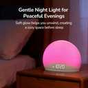 HOUSBAY Sunrise Alarm Clock Radio for Bedroom Wake Up Naturally with Gentle Light & Nature Sounds, Relax with Bluetooth Speaker & Night Light