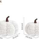 AELS Pumpkin Pillows, Set of 2, Halloween Pumpkin Pillow, Fall Thanksgiving Decorative Throw Pillow, 14 Inch 3D Pumpkin Throw Pillows for Home, Party, Gift, White