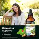 BIO KRAUTER Ashwagandha Supplements - Liquid Drops Pure Vegan Ashwagandha for Women & Men 685 mg per Serving 4 Fl.Oz 56-Day Supply - Used for Mood Magic & Relaxation Support - Alcohol & Sugar Free