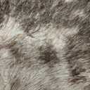 FinRec Brown Rugs for Bedroom Living Room, 4x6 Feet Plush Fluffy Shag Area Rug, Non-Slip Fuzzy Furry Shaggy Rug for Kids Room Dorm Room Home Decor, High Pile Soft Floor Carpet