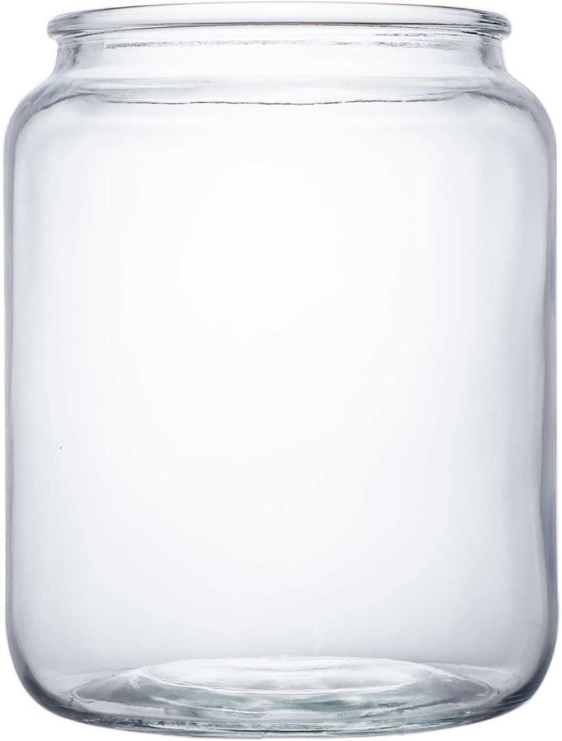 Jar Glass for Squirrel Feeder