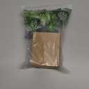 Smoothedo-Pets Aquarium Plants Betta Fish Tank Decorations 4inch/2pcs Soft Silk Artificial Plant Goldfish Waterscape Fish Hides Snake Tank/Reptiles Plants (B-3pcs Set)